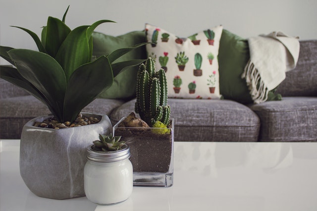 planten