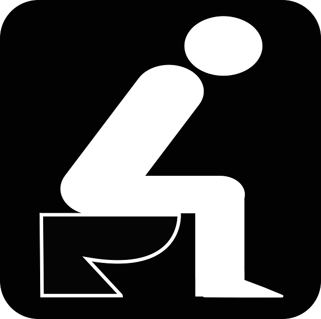 De beste praktijken voor het ontwerpen van een gastentoilet