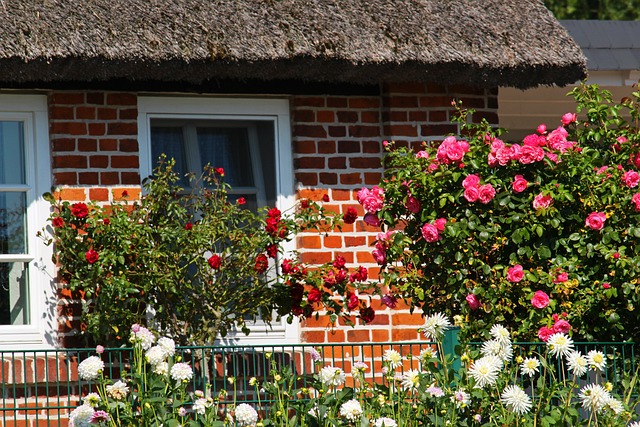 Natuurlijke Voortuin Attracties: Vlinders en Wilde Bloemen