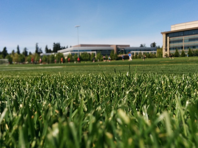 sportveld