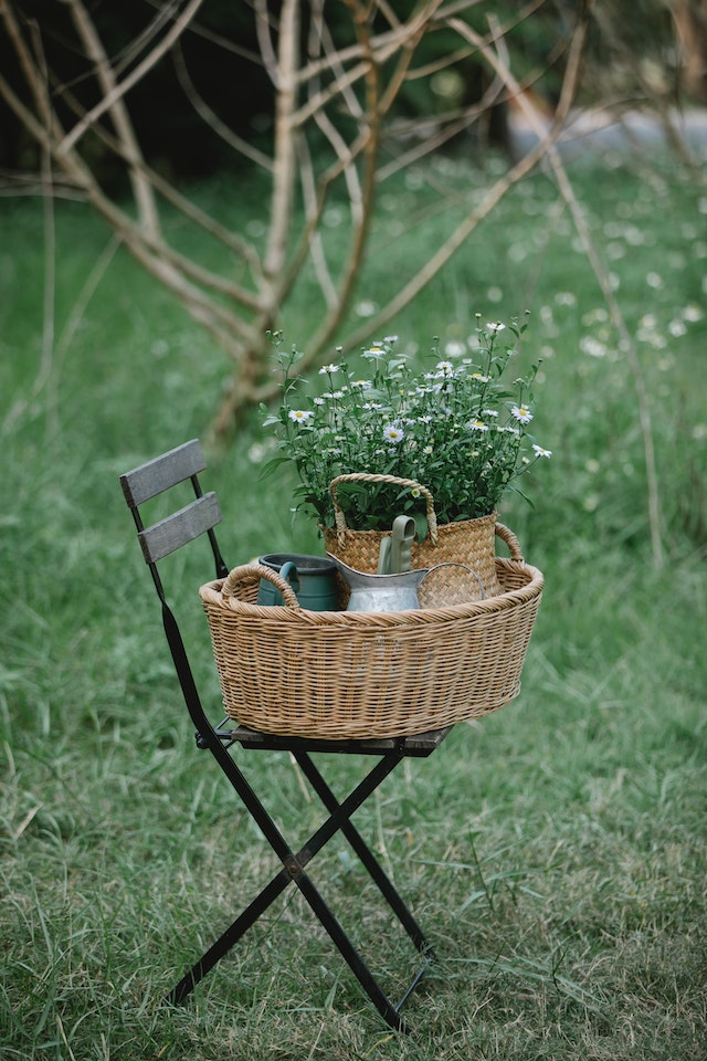 tuin